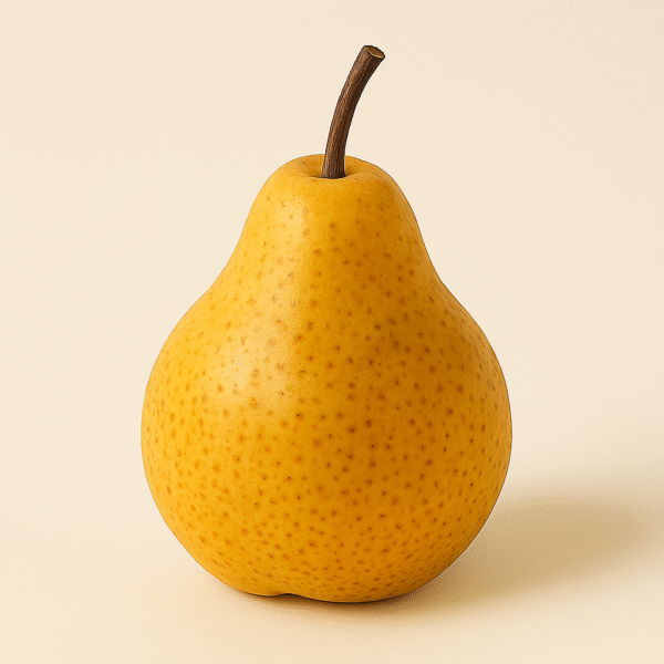 Parlette Pears Golden Spice Pear Tree – fruittreeguy.com