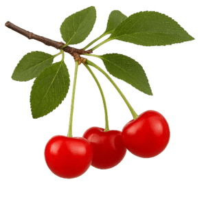North Star Cherry