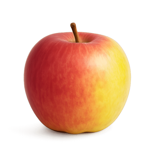 Prairie Magic Apple Tree – fruittreeguy.com