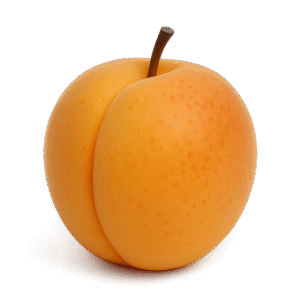Westcot Apricot