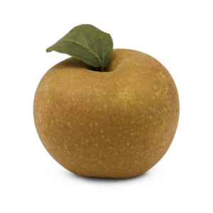 Ashmead's Kernel Apple