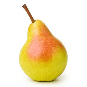 Flemish Beauty Pear
