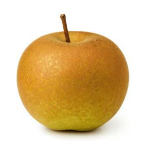 Franklin Apple