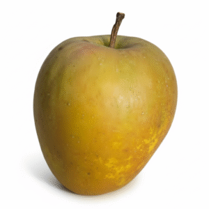 Hudson's Golden Gem Apple