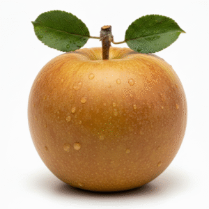 Roxbury Russet Apple