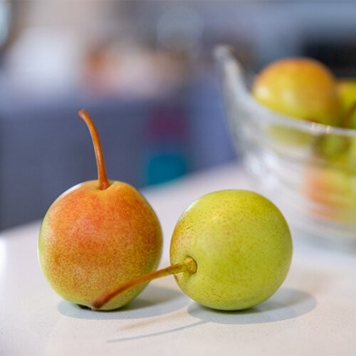 Juicy Jewel Pear Tree - Image 2